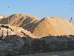 Holzvermarktung