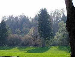 Waldbesitz